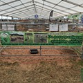 I Congresso Ovinocultura e Caprinocultura dos Açores ARCOA_10.jpg